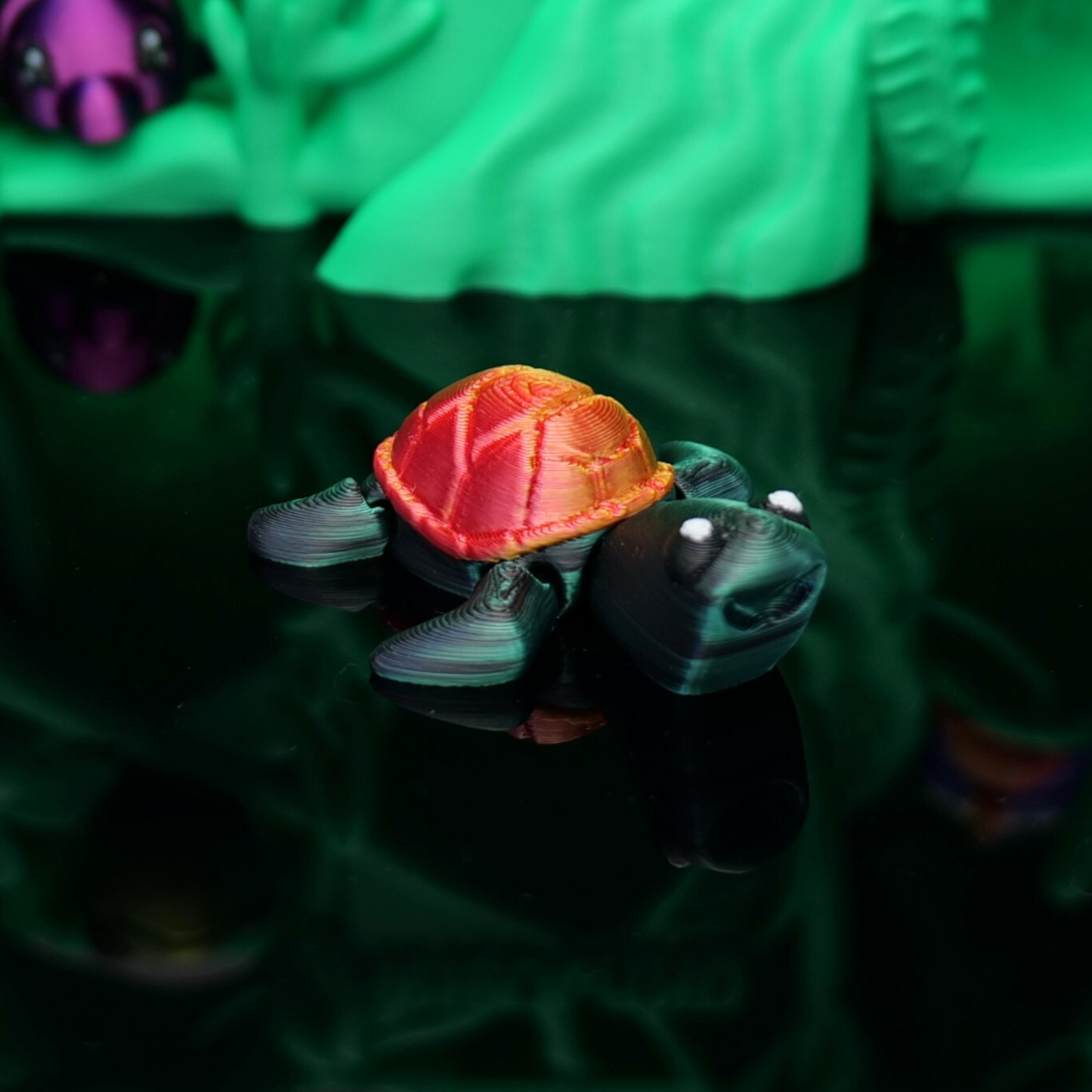 Wildland-Schildkroete-Special-Gruen-Schwarz*Special-Edition