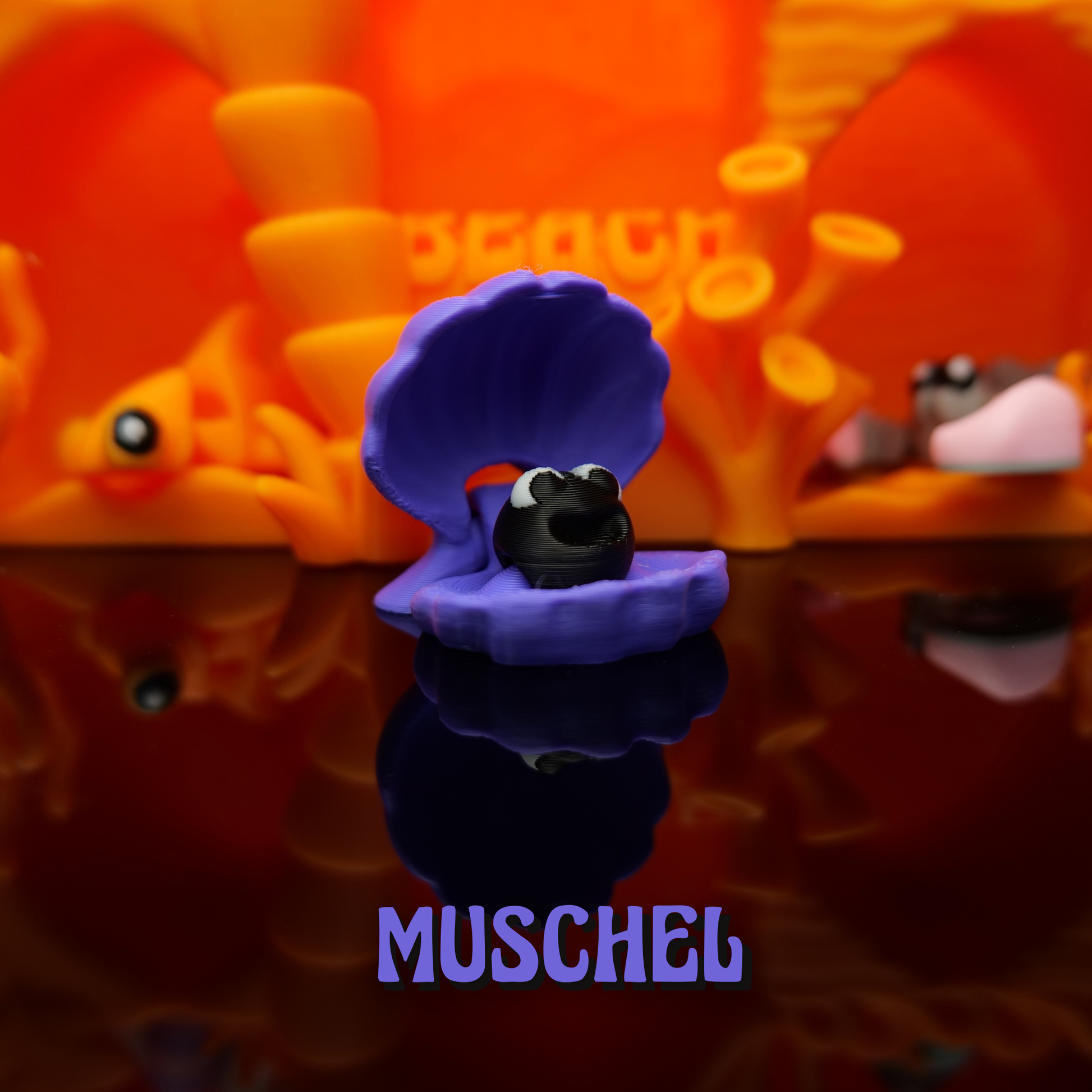 Beach-Muschel*Classic-Edition