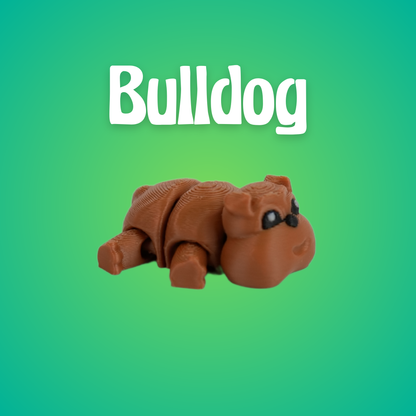 Bulldog