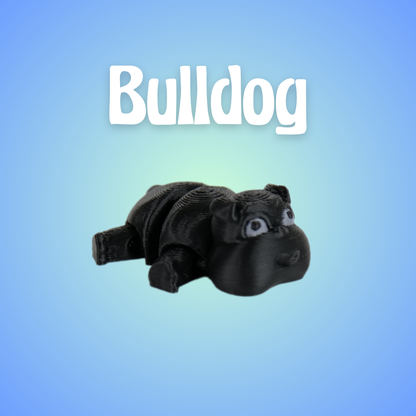 Bulldog