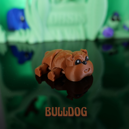 Oasis-Bulldog-Braun*Classic-Edition