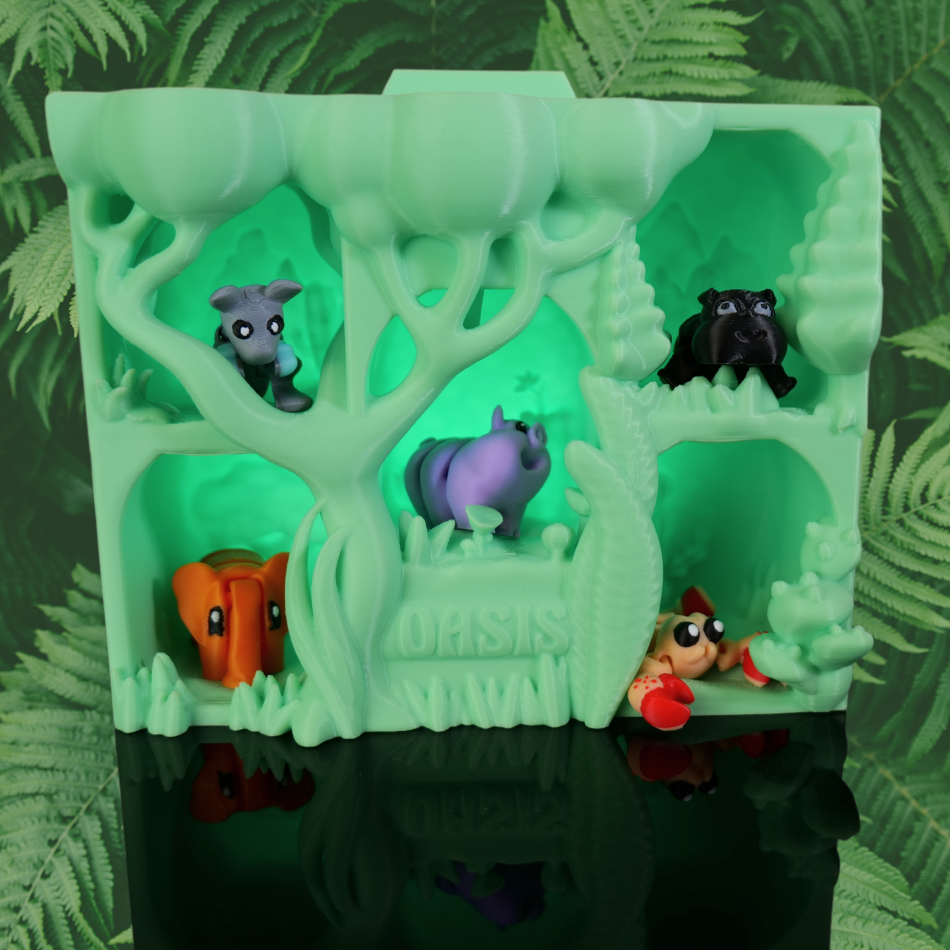 Oasis-Pack-Fun-Stage*Fun-Edition
