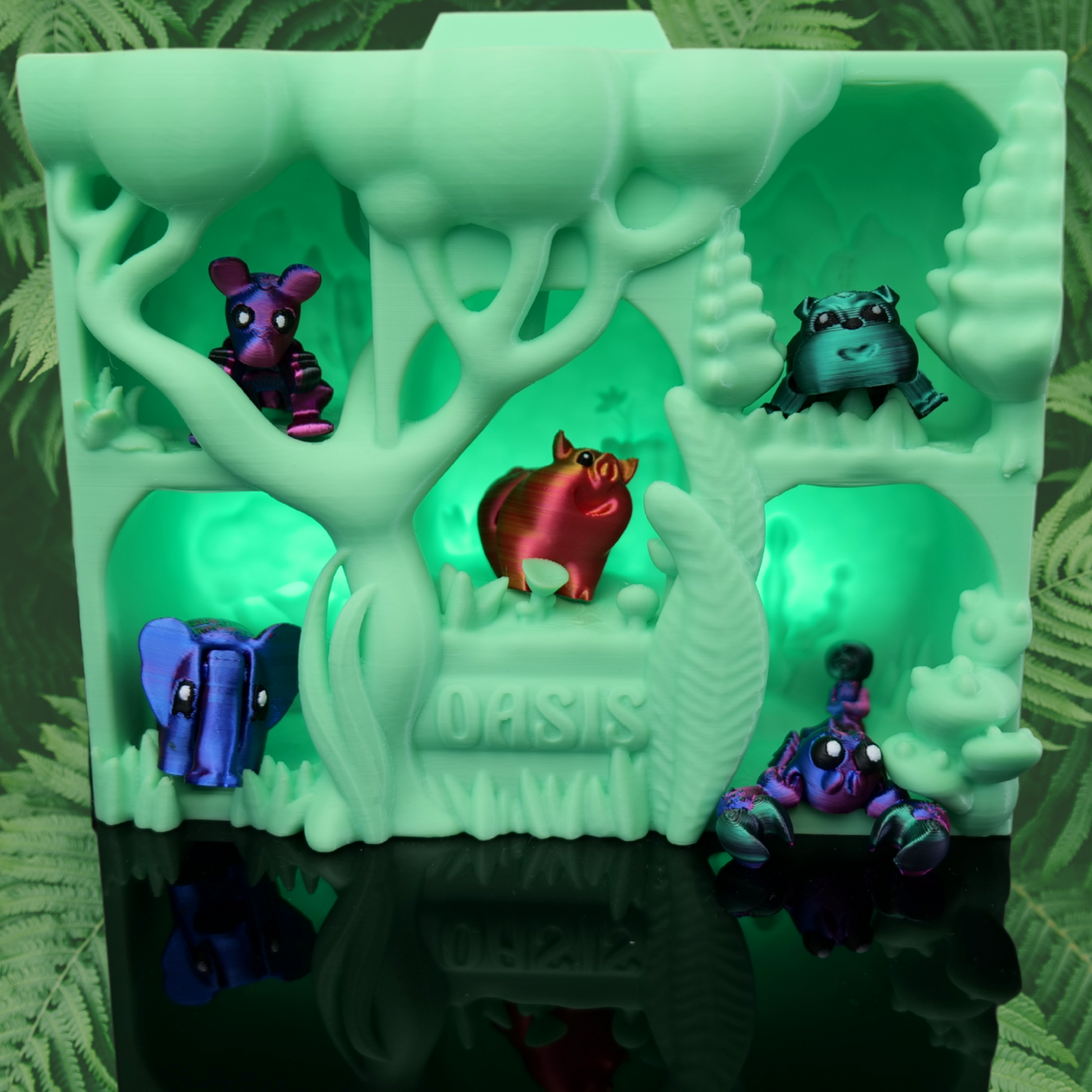 Oasis-Pack-Special-Stage*Special-Edition