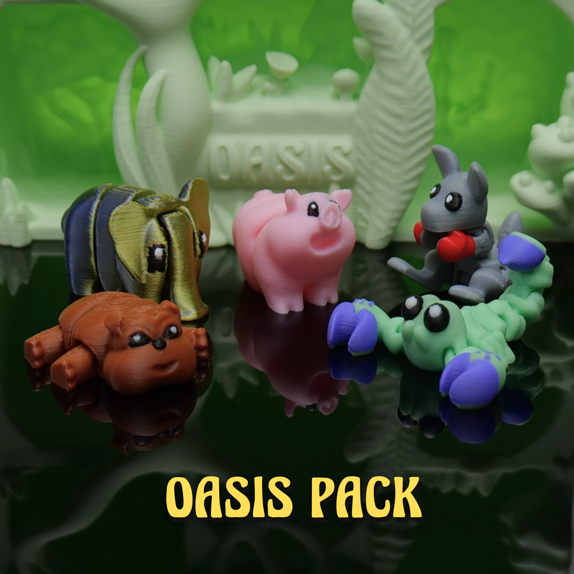 Oasis-Pack*Classic-Edition