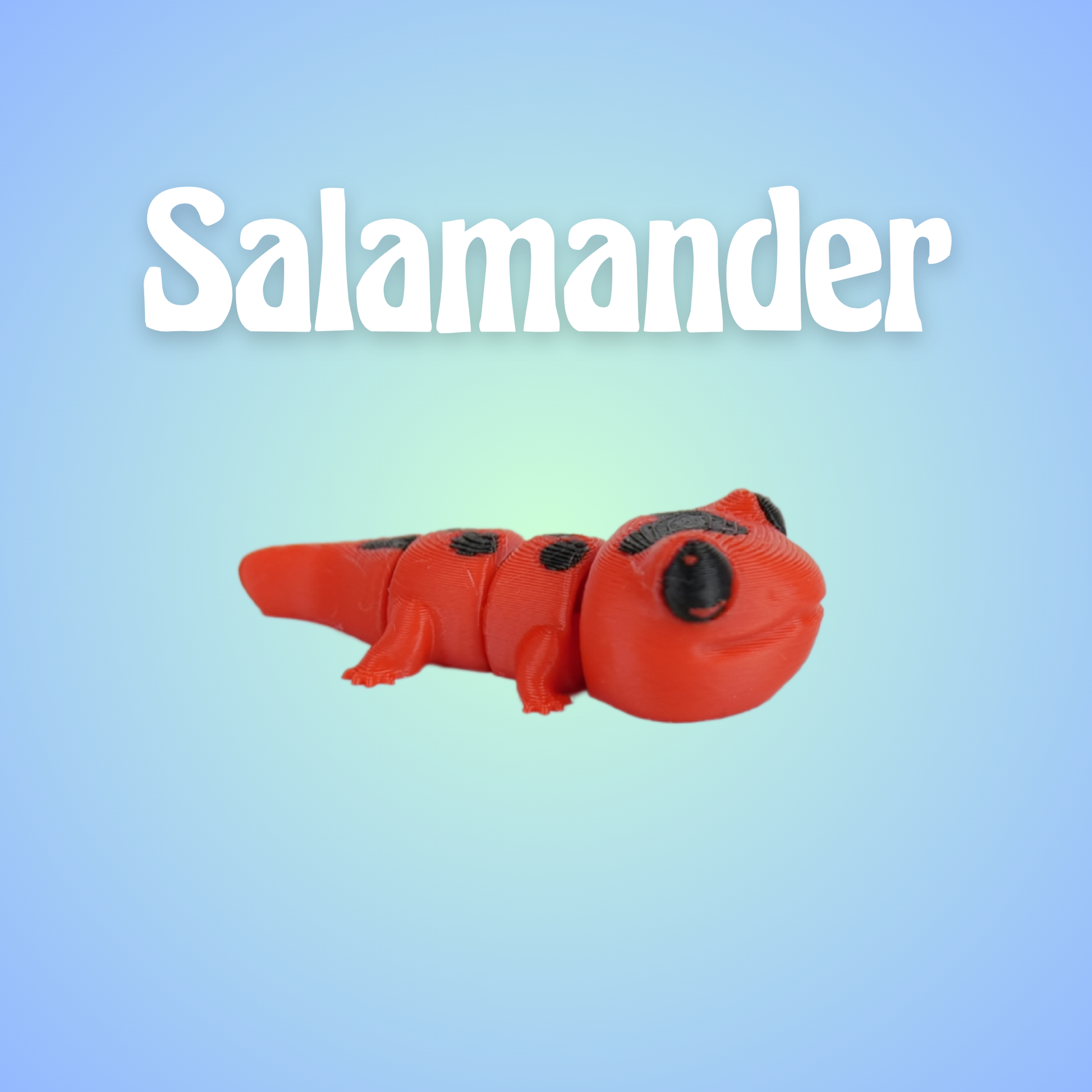 Salamander-Rot-Schwarz