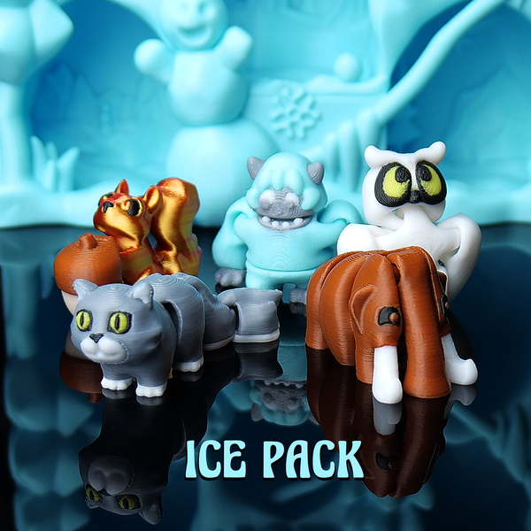 Ice Pack