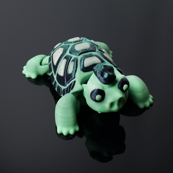 Punk Schildkröte