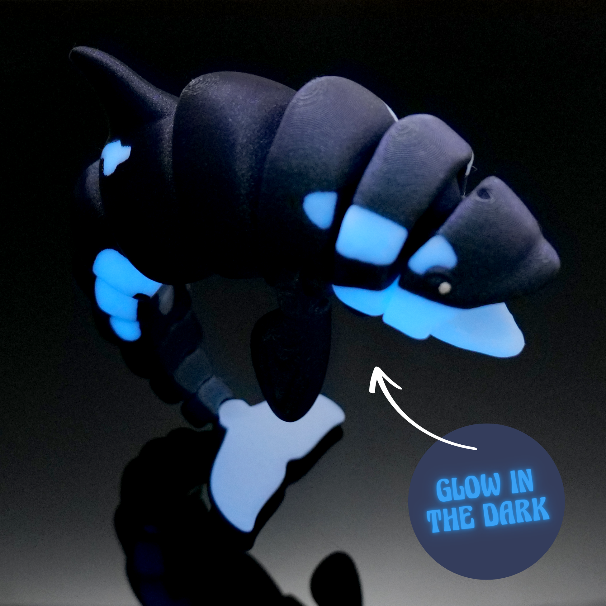 Orca*Galaxy