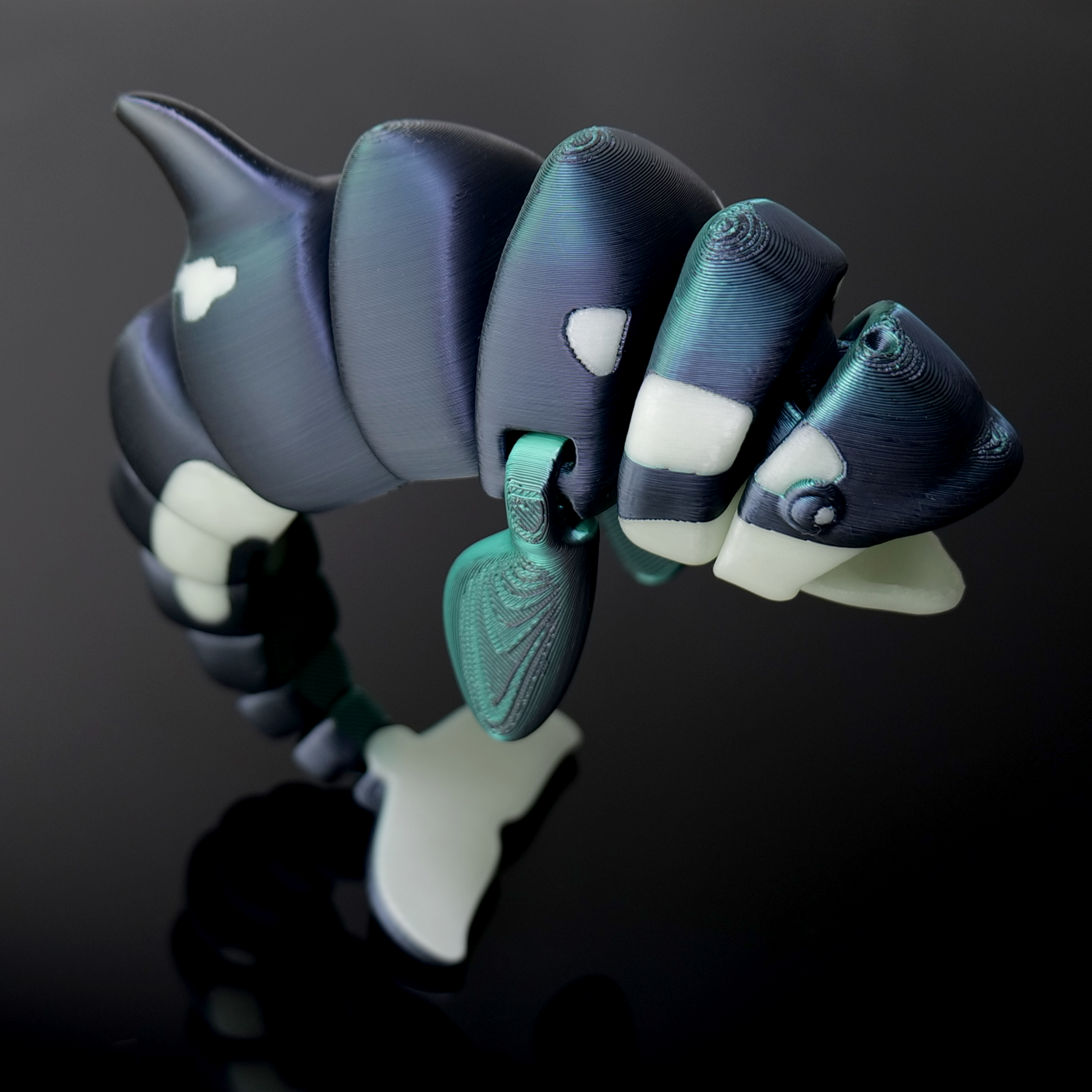 Orca*Special-Gruen-Schwarz