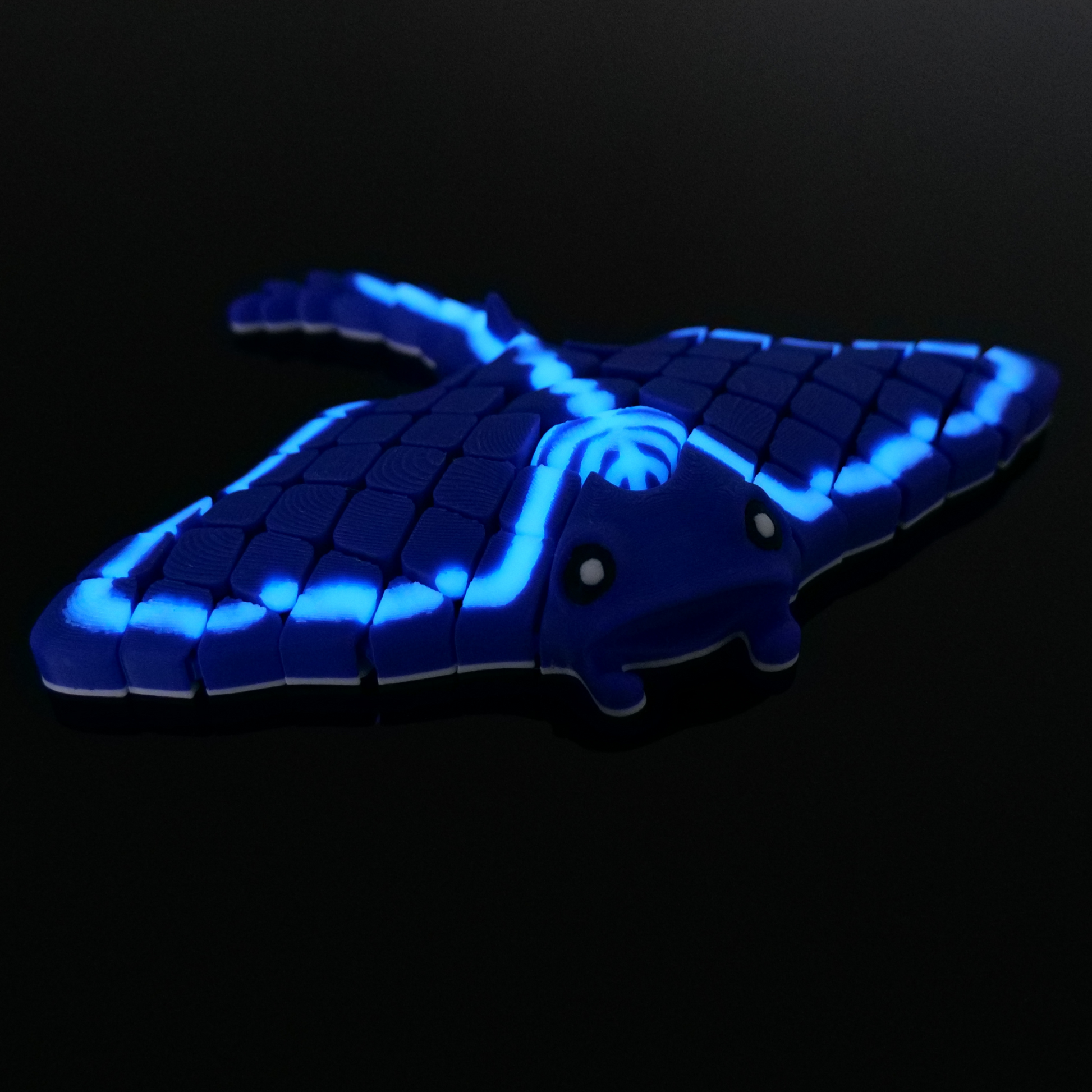 Manta-Rochen*Blau