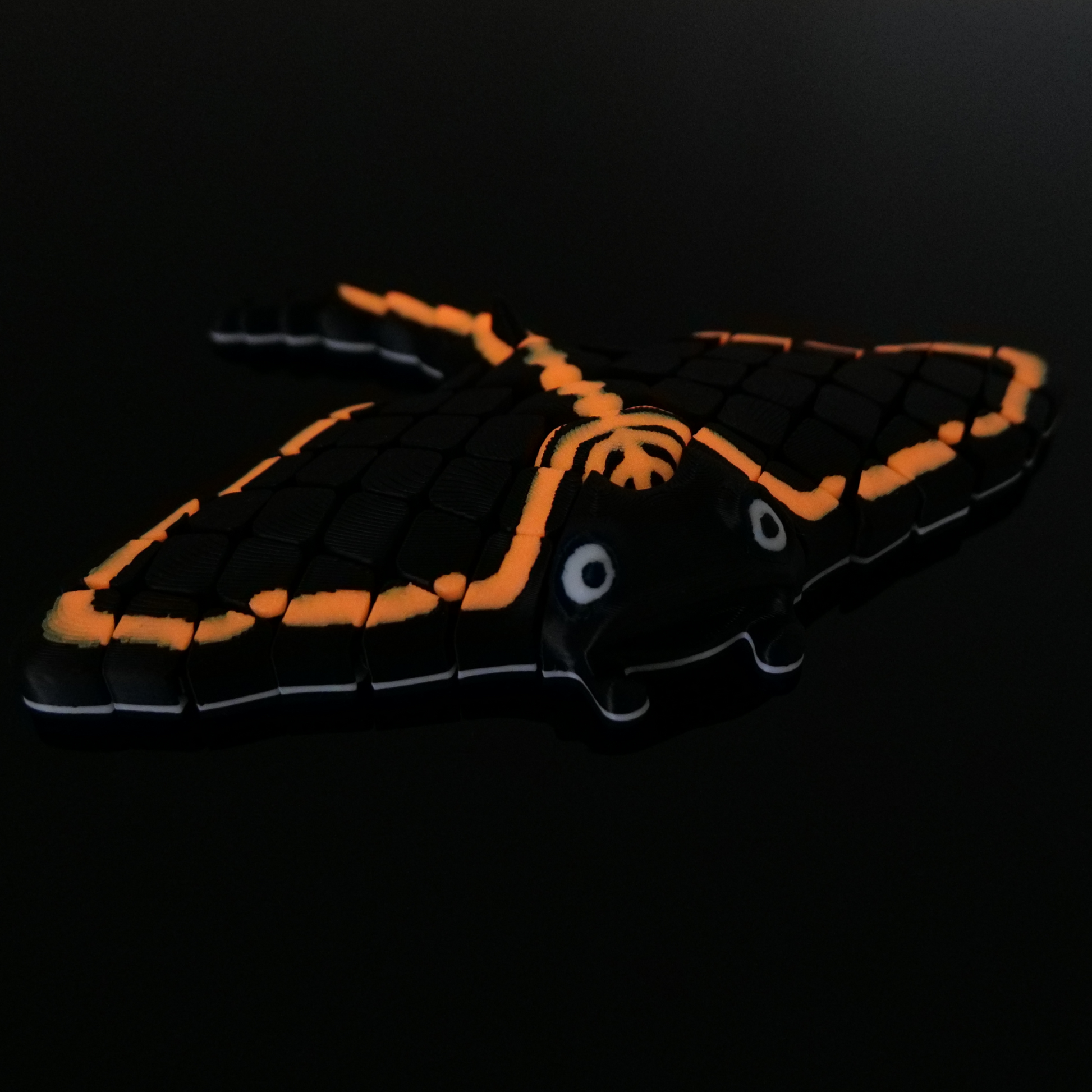 Manta-Rochen*Schwarz
