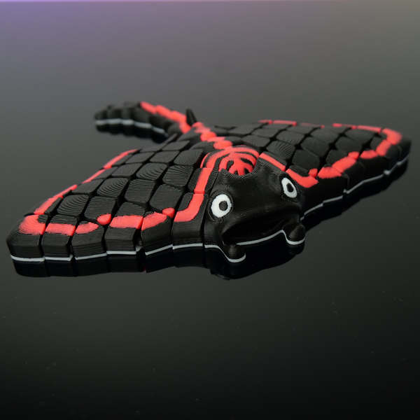 Manta Rochen