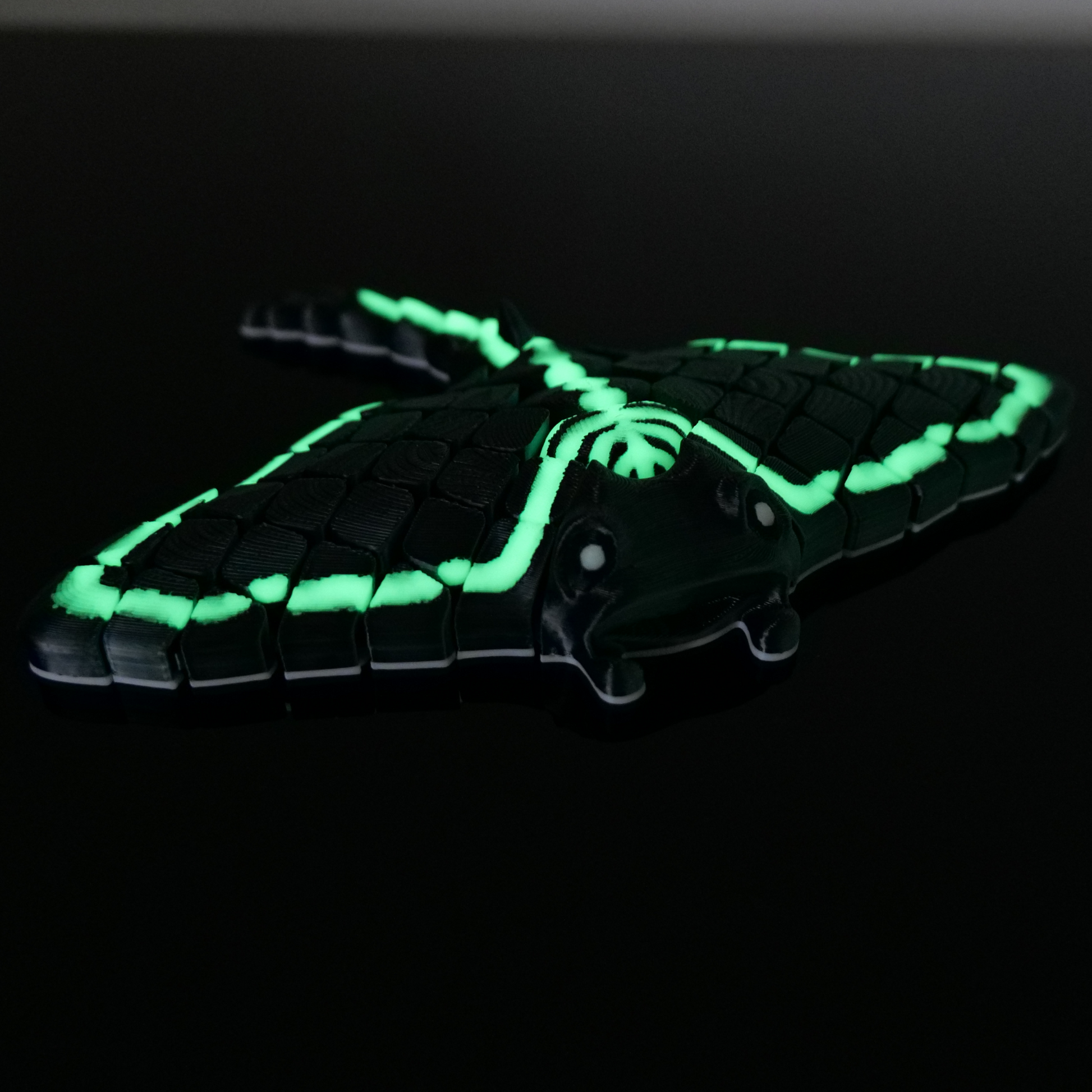 Manta-Rochen*Special-Gruen-Schwarz