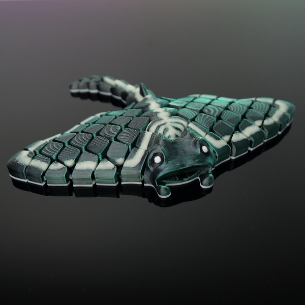 Manta Rochen