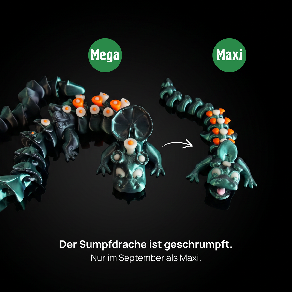 Wabbelz-Sumpfdrache-Make-it-Maxi-2