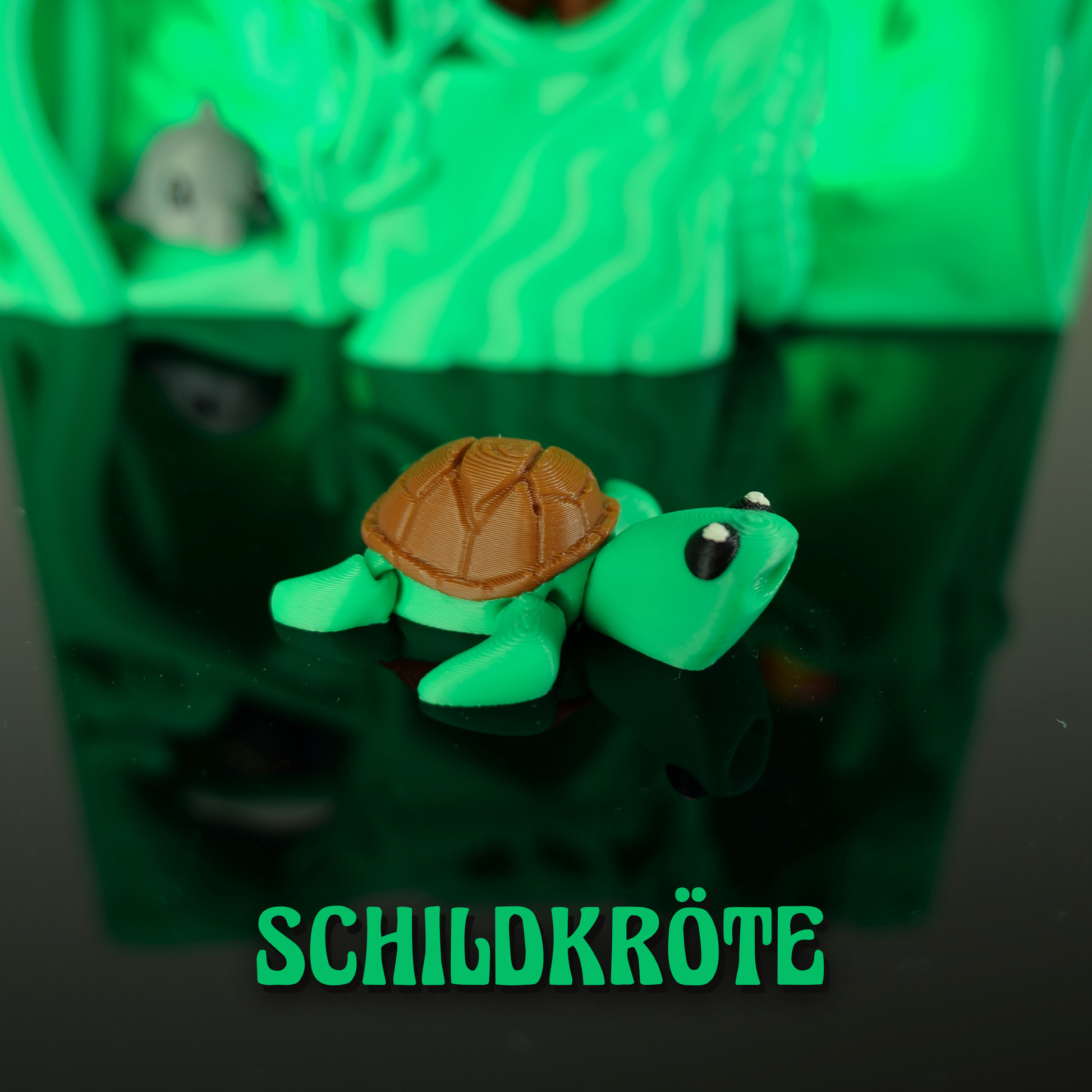 Wildland-Schildkroete-Gruen*Classic-Edition