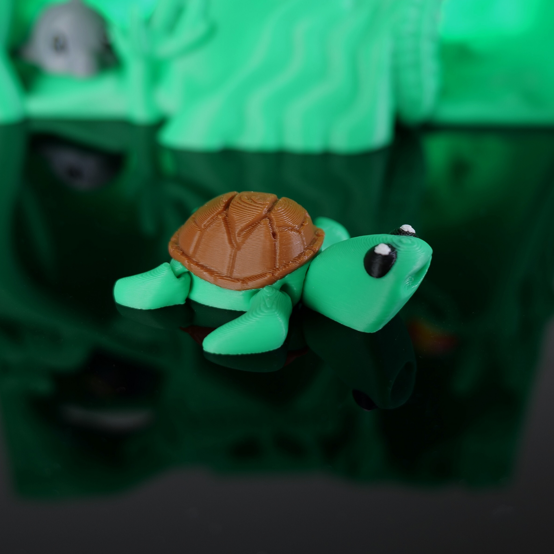 Wildland-Schildkroete-Gruen*Classic-Edition