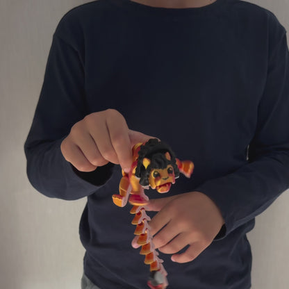 Loewe*Special-Rot-Gelb*Video