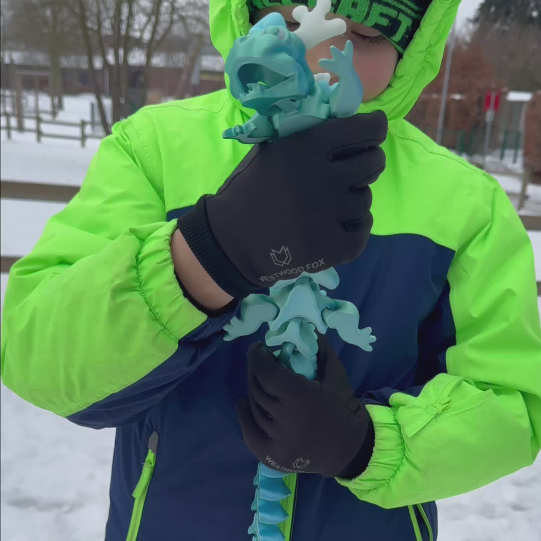 Eisdrache*All
