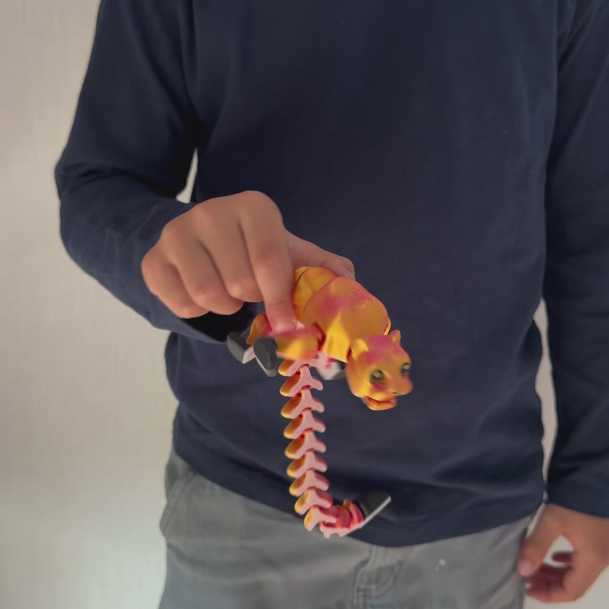 Loewin*Special-Rot-Gelb*Video